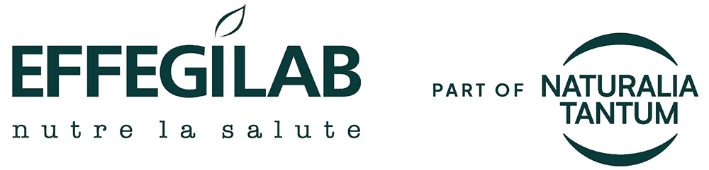 Effegilab logo