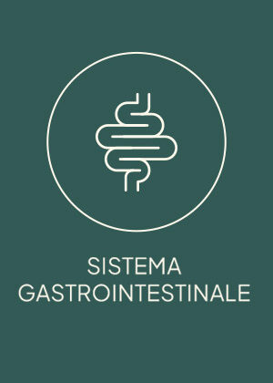 gastro
