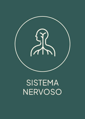 nervoso