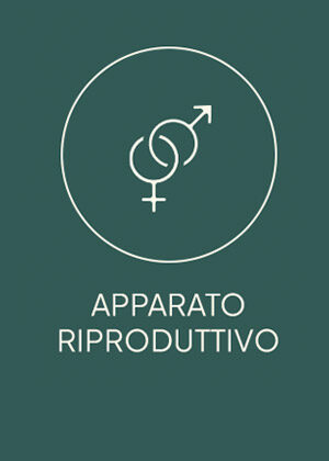 riproduttivo
